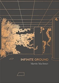 'Infinite Ground' by Martin MacInnes